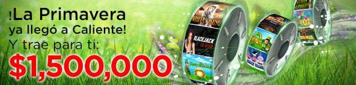Promoción primavera primavera caliente promoción
