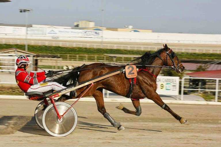Guía básica para apostar en las carreras de caballos Apuestivas Guía básica para apostar en las carreras de caballos Apuestivas