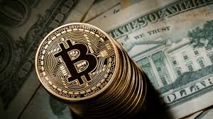 bodog bono bitcoin bodog bitcoin